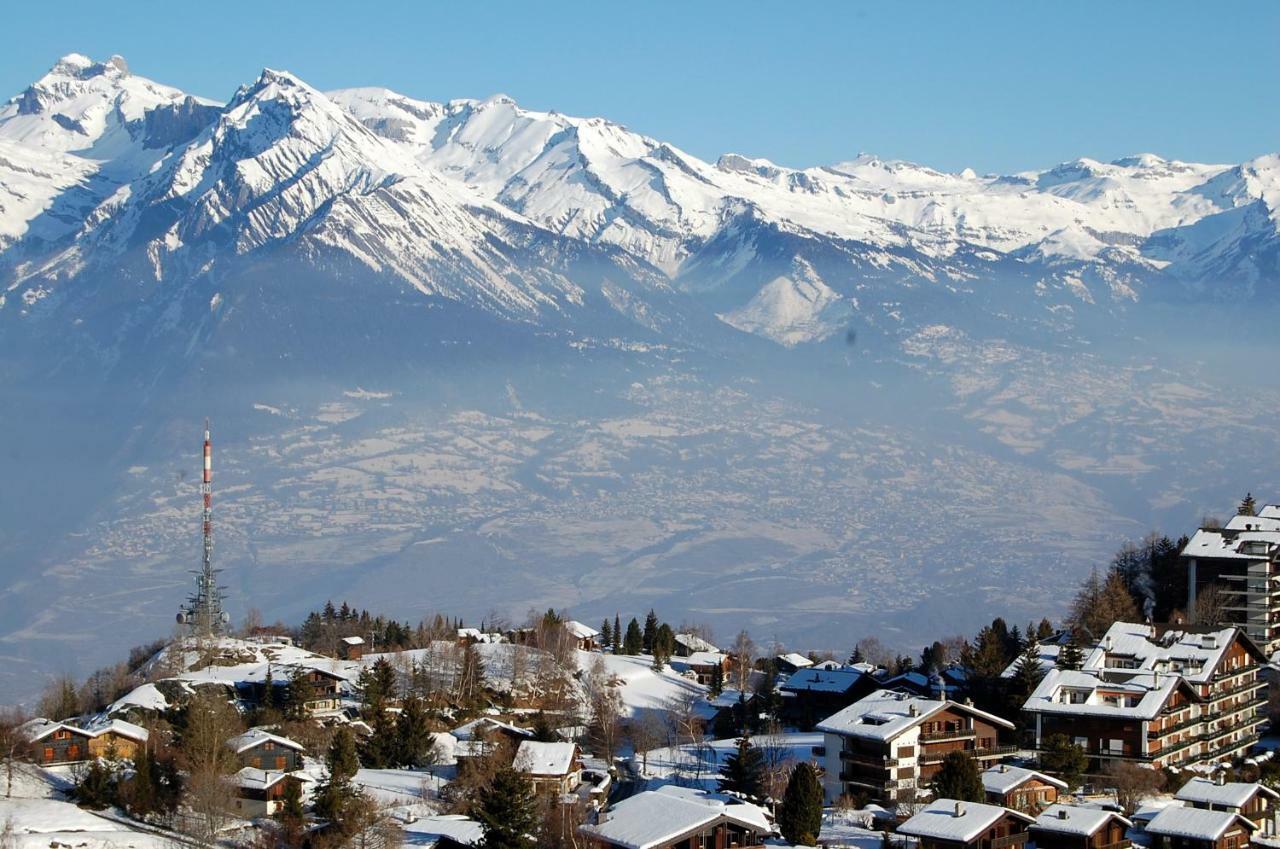 La Foret Apartment With Spectacular Mountain Views نينداز المظهر الخارجي الصورة